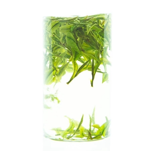 高檔商務禮品安吉白茶如何選購？